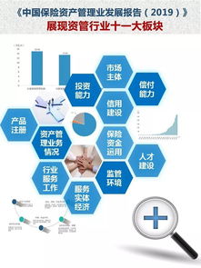 《中國保險資產(chǎn)管理業(yè)發(fā)展報告2019》 洞察資本管理新趨勢，引領(lǐng)行業(yè)高質(zhì)量發(fā)展